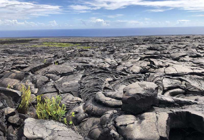 Hawaii - Hawai Big Island - Volcano National Park ©Pacifique à la Carte