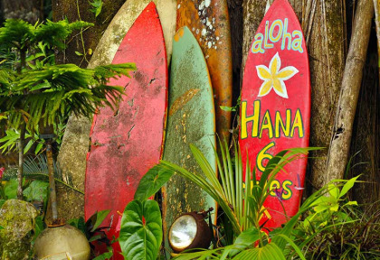 Hawaii - Maui - Route d'Hana ©Shutterstock, Mike Brake
