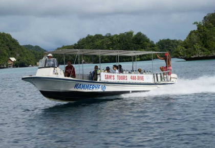 Micronésie - Palau - Sam's Tours © Judith Hoppe