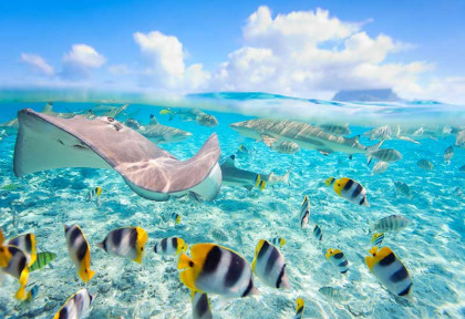 Polynésie - Croisière dans l'archipel de la Société - Bora Bora © Shutterstock, Blueorange Studio