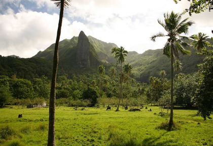 Polynésie française - Raiatea © Tahiti Tourisme