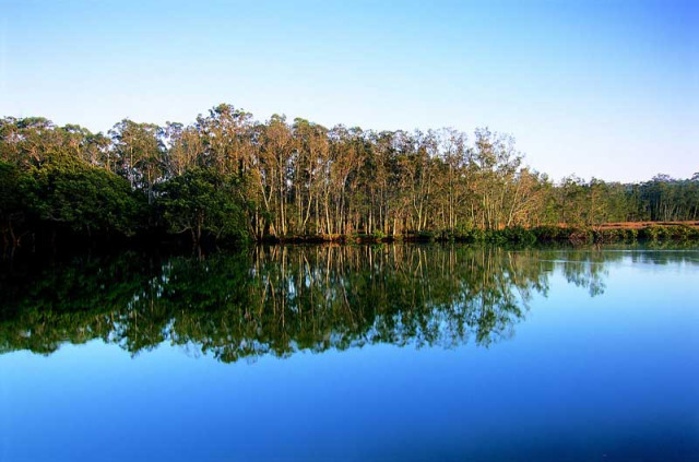 Australie - Jervis Bay - Paperbark Camp - Vue sur Currambene Creek © Mike Gebicki