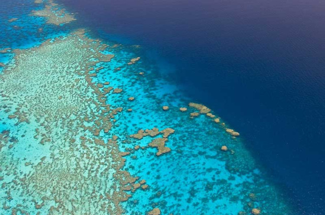 Tour du monde - Australie - Grande barrière de corail à Port Douglas © Tourism Queensland