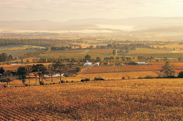 Australie - Melbourne - Escapade gourmande dans la Yarra Valley