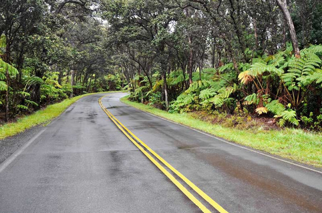 Hawaii - Hawai Big Island - Volcano National Park ©Shutterstock, Alberto Loyo