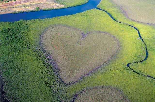 Nouvelle-Calédonie - Coeur de Voh © Tourisme Province Nord