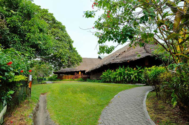 Papouasie-Nouvelle-Guinée - Rabaul - Kokopo Beach Bungalow Resort © Nobutsugu Sugiyama