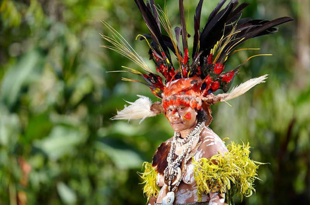 Papouasie-Nouvelle-Guinée - Mount Hagen - Rondon Ridge © Trans Niugini Tours, Chris McLennan