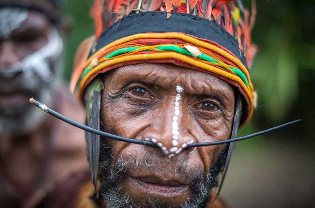 Papouasie-Nouvelle-Guinée - Mount Hagen - Rondon Ridge © Trans Niugini Tours, David Kirkland