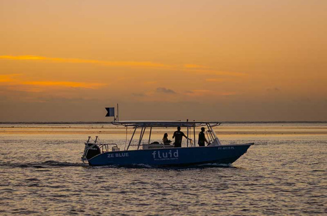 Polynésie française - Tahiti - Coucher de soleil sur Moorea en bateau