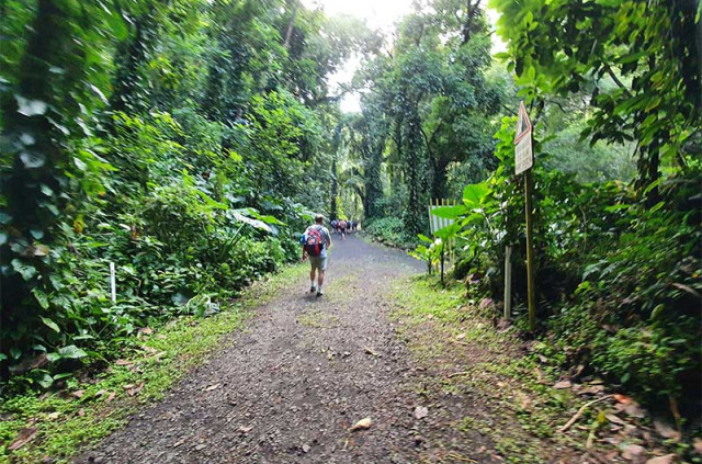 Polynésie française - Tahiti - Randonnée dans la vallée de la Fautaua, côte Est