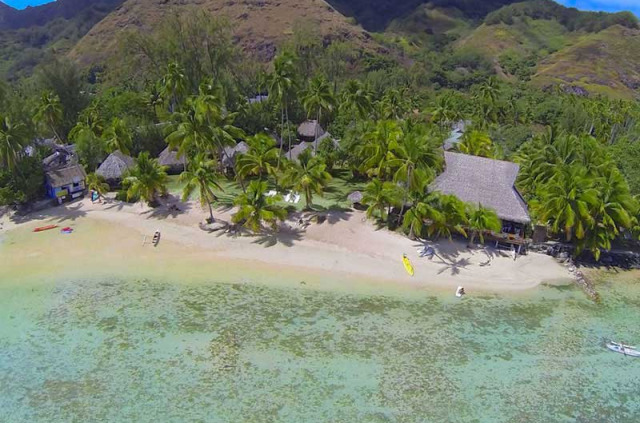 Polynésie - Moorea - Les Tipaniers