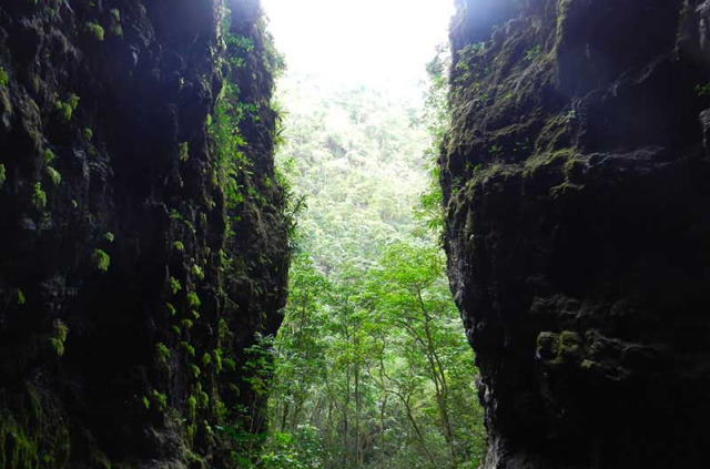 Polynésie française - Tahiti - Balade dans la Vallée de Vaipohe