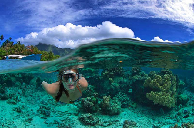 Polynésie française - Tahiti - Randonnée Palmée Guidée Lagon