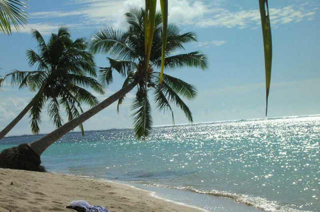 Samoa - Savai'i - Tanu Beach Fales