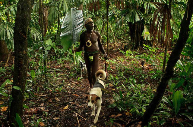 Vanuatu - Malekula - Trek à Dog's Head © Vanuatu Tourism Office