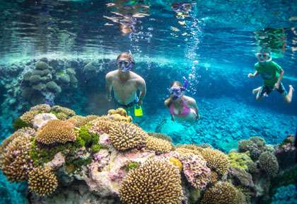 Snorkeling à Niue