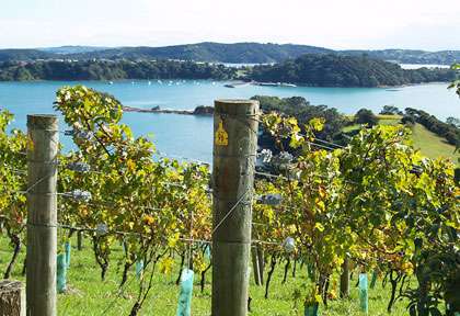 Route des vins en Nouvelle-Zélande